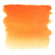 Aquarelle Golden