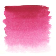 Aquarelle Rose