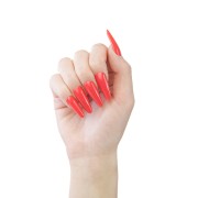 Gel Polish Regular 542