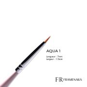 Pinceau Aqua 1