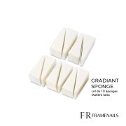 Ombre Sponge (10pcs)