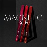 Gel Polish Magnetic Reds C20 Makear