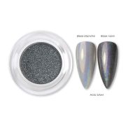 Pigment Holo Silver