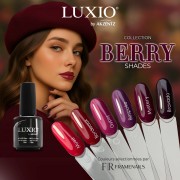 Kit Luxio Collection Berry Shades