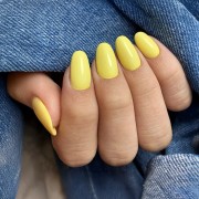 Pure Creamy 172 Yellow Delight